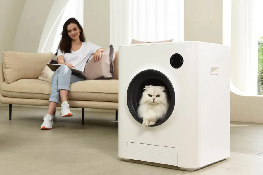 scent free litter box